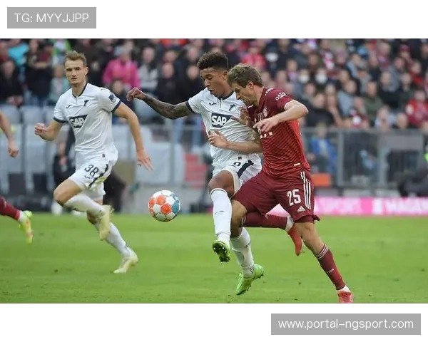 霍芬海姆客场战绩优异，能否延续黑马姿态冲击欧冠区？