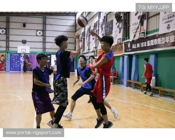 篮球训练营热潮，业余球员参与度提升